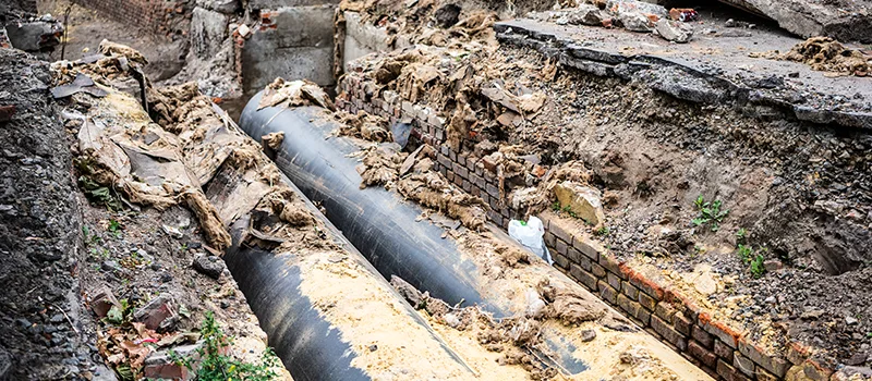 Commercial Sewer Tree Roots Damage Solutions in Ajax, ON
