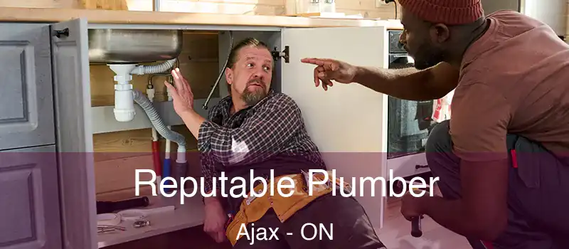  Reputable Plumber Ajax - ON