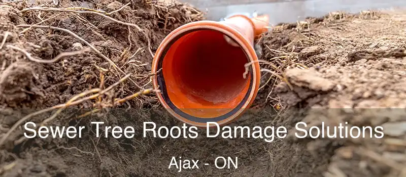  Sewer Tree Roots Damage Solutions Ajax - ON